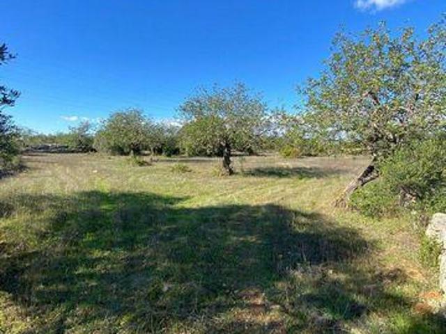 Sao Bras De Alportel Faro LS97107933