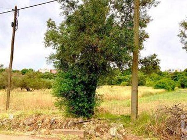 Sao Bras De Alportel Faro LS99571488