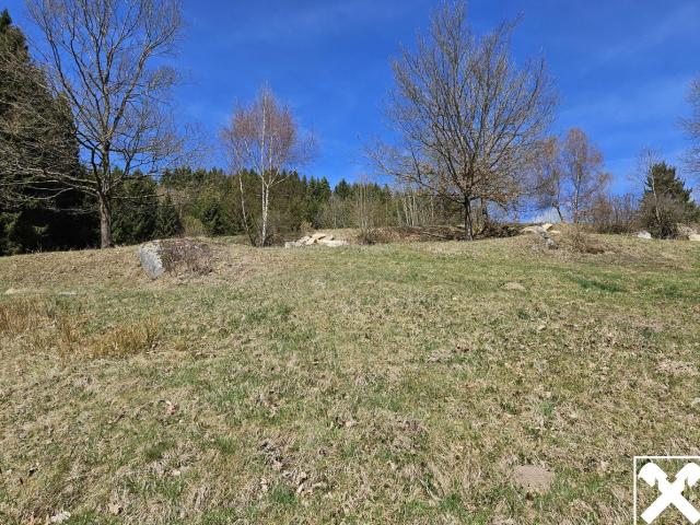 Sacherl mit Ca. 4,9 Ha Arrondiertem Wald und Wiesengrund in Idyllischer Alleinlage
