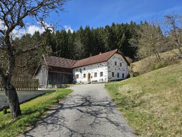 Sacherl mit ca. 4,9 ha arrondiertem Wald und Wiesengrund in idyllischer Alleinlage