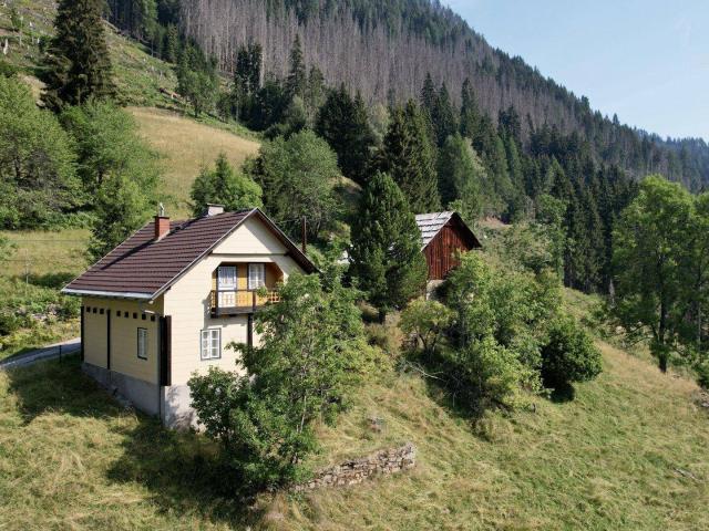 Sacherl/Hofstelle/Berghütte mit 1,07 ha in der Teuchl – Sehnsuchtsort für engagierte Sanierer