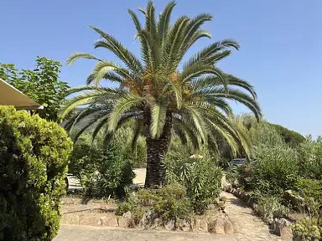 Sagone 20118 Achat / Vente appartement 2 pièces t2