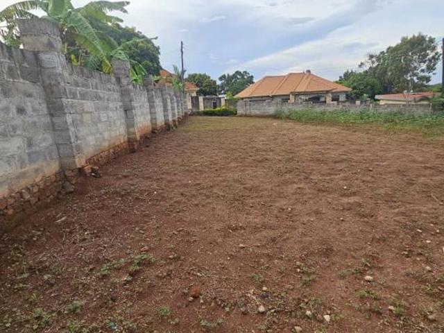 Sahara Real Estate Consultancy Commercial Land 65340 Sq. Yd. in Shamshabad Hyderabad Listing ID: #9995