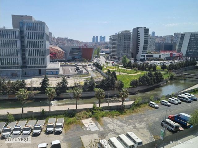 SAHİBİNDNE CAMLI VADİS KARISISNDAN ORMAN İSTANBUL DA AYRI MUTFAK ACİLL