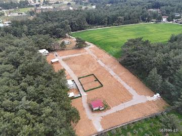 Menderes, İzmir ili, Ege Bölgesi - Bahçe