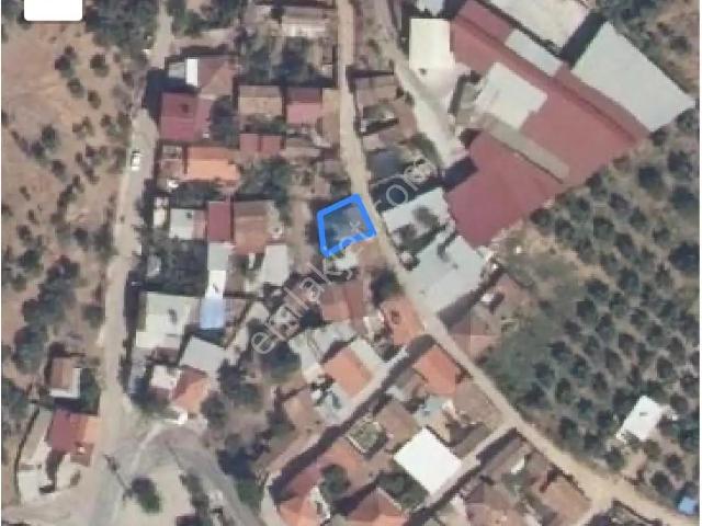 Sahibinden Aydın Dağkaraağaç Avlulu Bakıma Muhtaç Köy Evi