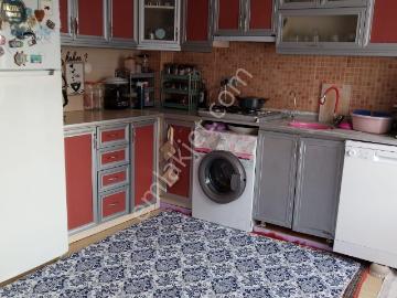 Savuca, Söke, Aydın ili, Ege Bölgesi