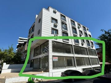 Nazilli, Aydın ili, Ege Bölgesi - Bahçe