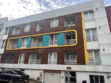 Düğün Çiçeği Sokak, Odunpazarı, Eskişehir, Eskişehir ili, İç Anadolu Bölgesi