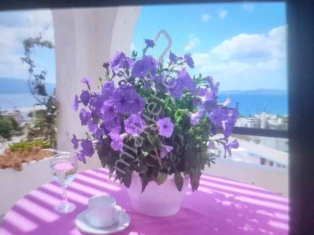 Sahibinden Bodrum Akyarlarda 1+1 Yazlık