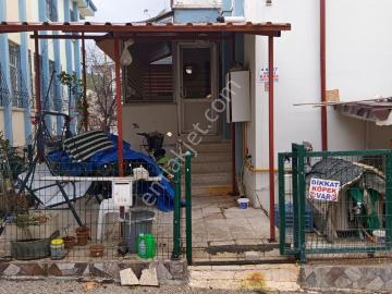 Sahibinden Bodrum Katlı Bahçeli Duplex Müstakil Ev