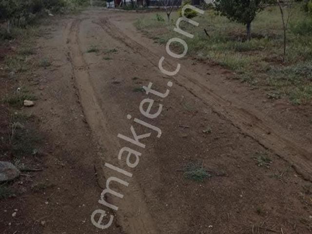 Sahibinden Elazığ Sivrice Gözeli Köyünde Yola Sıfır Bahçe Ve Ev