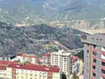 Artvin, Artvin ili, Karadeniz Bölgesi