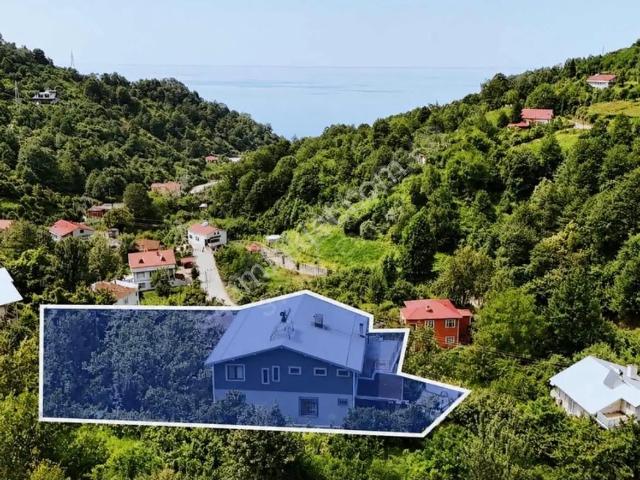 Sahibinden Hopa Esenkıyıda Deniz Ve Doğa Manzaralı 3 Katlı Bina Ve Arsası