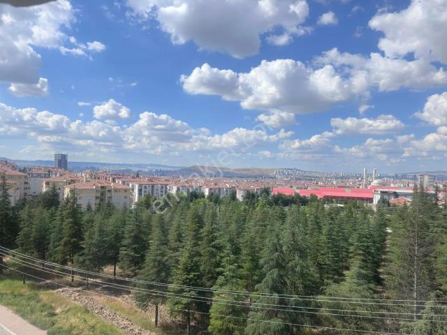 Sahibinden Muammer Aksoy Caddesi Üzeri 3+1