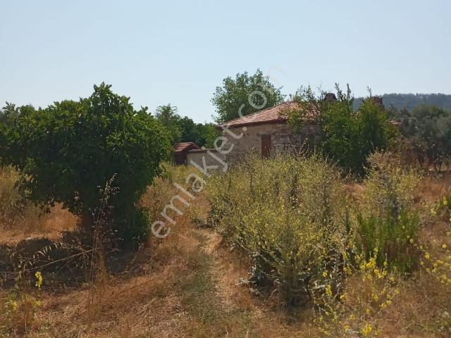 Sahibinden Stratonikeia Antik Kentinde Müstakil Ev pazarlık Payı Vardır