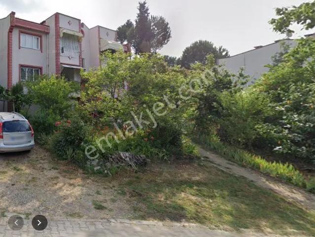 Sahibinden Sahibinden Camili 1 Kiralık Daire Minibüs Yolunda Önü Açık