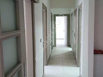 Oğlaklı, Bağlar, Bağlar, Diyarbakır ili, Güneydoğu Anadolu Bölgesi