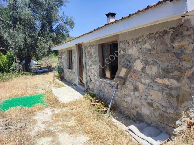 Sahibinden Taş Ev, Müstakil Tapulu 1037 M2 Bahçe İçinde