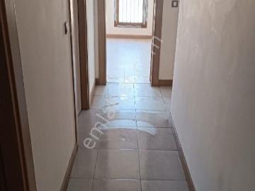 Iğdır ili, Doğu Anadolu Bölgesi