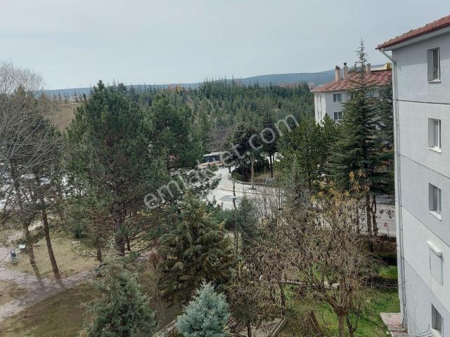 Sahibinden Yeni Kentte Kiralık Daire