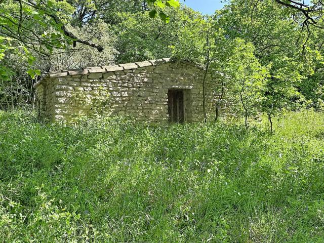 Saignon Propriété de caractère avec source, cabanon et dép. 220m² Saignon