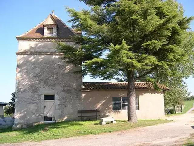 Saint Vincent Lespinasse 82400 Achat / Vente maison 12 pièces t12 piscine jardin