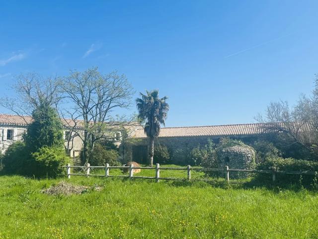 Saint Vivien de Médoc, maison de maitre, propriété de 19ha