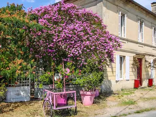 Saint André de Cubzac 33240 Achat / Vente maison 18 pièces t18 piscine