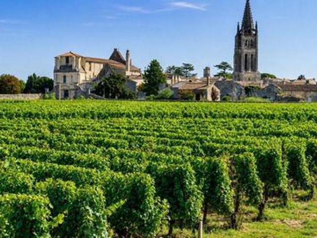 Saint Aquitaine 33330 103963348