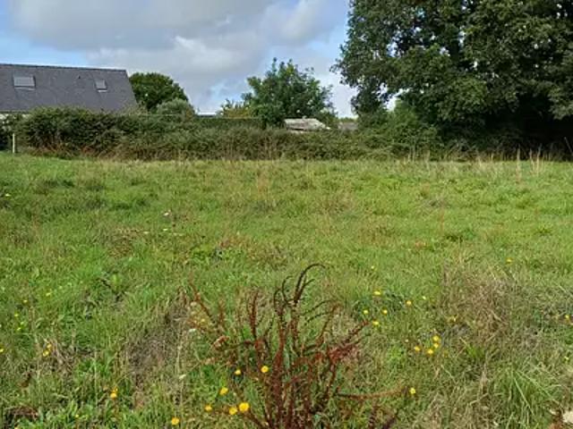 Saint Aubin des Châteaux 44110 Programme neuf maison neuf à vendre 4 pièces