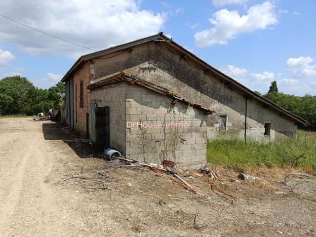 Saint Avit, maison 3 chambres, un séchoir, une dépendance et 2 Hectares