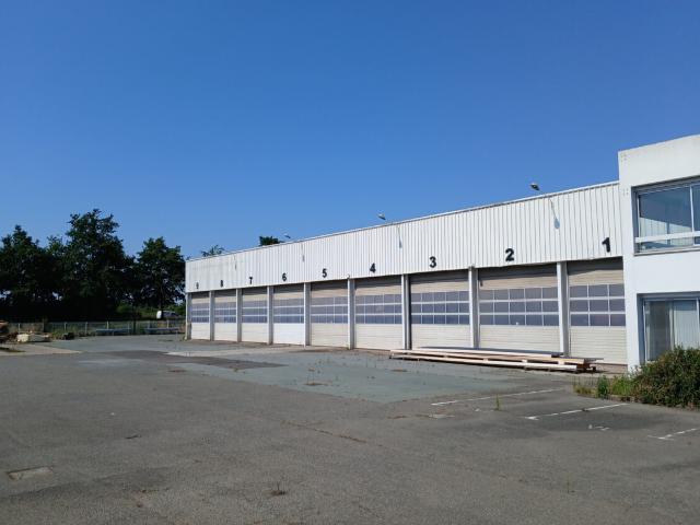 Saint Barthélemy d'Anjou 49 Angers, en ZI 1ère couronne, locaux d'activité 2000 m2 à louer.