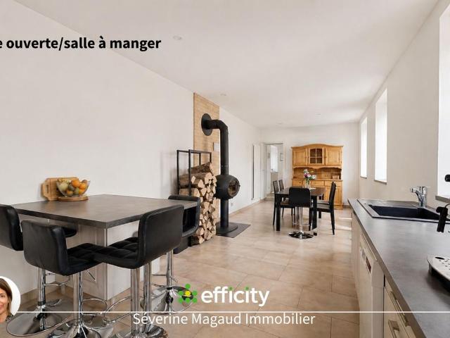 Saint Clément sur Valsonne Vente Maison 69