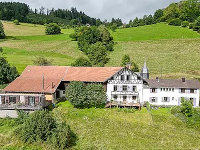 Saint Dié des Vosges 88100 Achat / Vente maison 15 pièces t15 au dernier étage terrasse