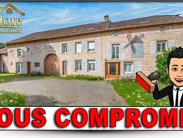 Saint Dié des Vosges 88100 Achat / Vente maison 21 pièces t21