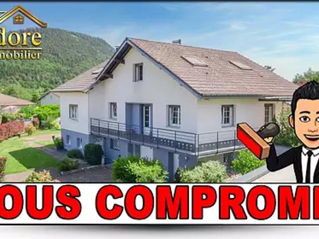 Saint Dié des Vosges 88100 Achat / Vente maison 7 pièces t7