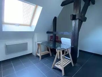 Saint Dié des Vosges 88100 Location appartement 1 pièce t1 au dernier étage