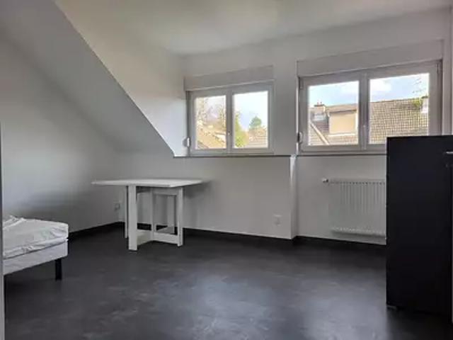 Saint Dié des Vosges 88100 Location appartement 1 pièce t1 au dernier étage