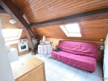 Saint Dié des Vosges 88100 Location appartement 1 pièce t1 au dernier étage