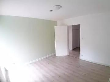 Saint Dié des Vosges 88100 Location appartement 3 pièces t3
