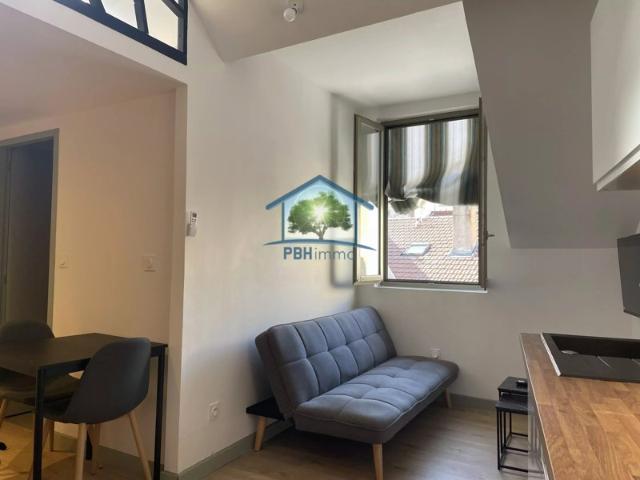Saint Etienne Gare Chateaucreux Studio 27 m2