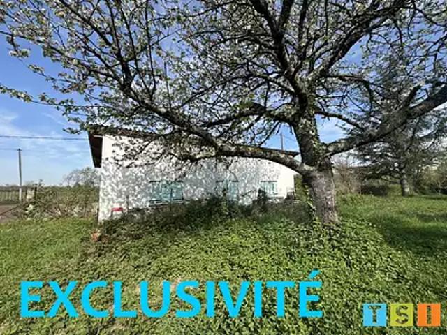 Saint Gaudens 31800 Achat / Vente maison 3 pièces t3 au dernier étage