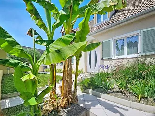 Saint Germain sur Ecole 77930 Achat / Vente maison 7 pièces t7 jardin terrasse