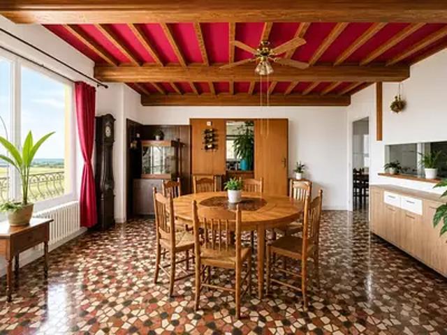 Saint Héand 42570 Achat / Vente maison 13 pièces t13 jardin