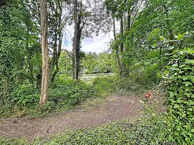 Saint Hilaire Saint Mesmin 45160 Achat / Vente maison 3 pièces t3 jardin terrasse