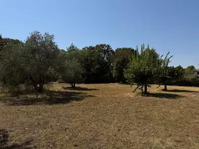 Saint Jean de Cornies 34160 Programme neuf maison neuf à vendre 3 pièces