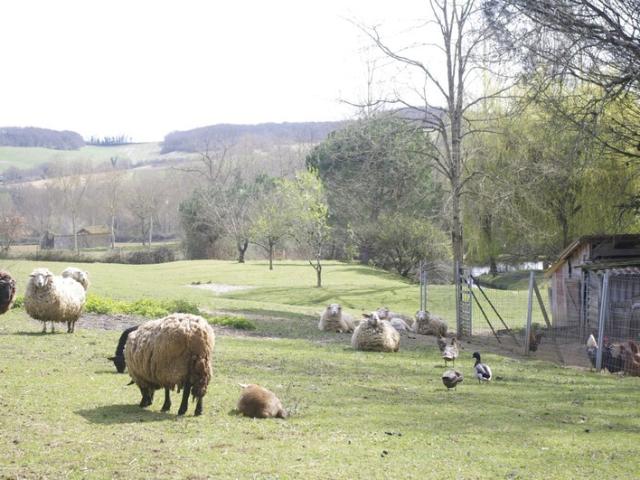 SAINT JEAN POUTGE 32, à vendre propriété de charme 8 pièces, dépendances et terrain arboré avec point d'eau