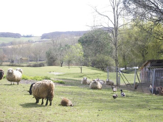 SAINT JEAN POUTGE 32, à vendre propriété de charme 8 pièces, dépendances et terrain arboré avec point d'eau