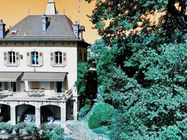 Saint Julien en Genevois centre, un bien unique.